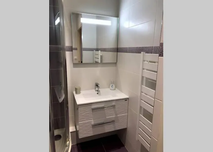 Le Petit Navire - Acces Direct *