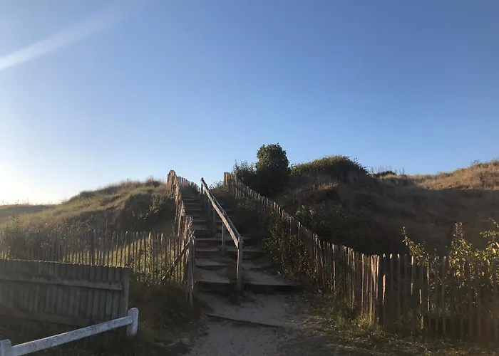 Le Petit Navire - Acces Direct *