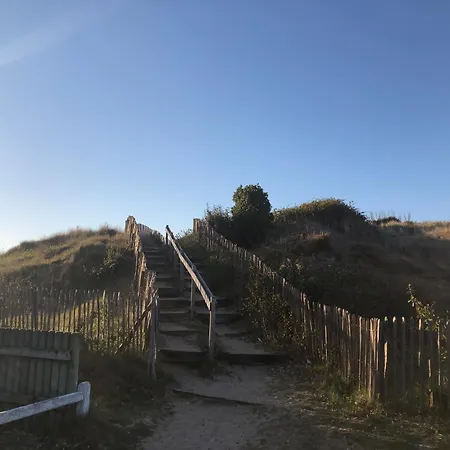 Le Petit Navire - Acces Direct *