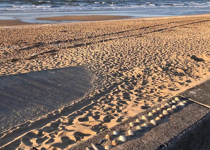 Le Petit Navire - Acces Direct Daire